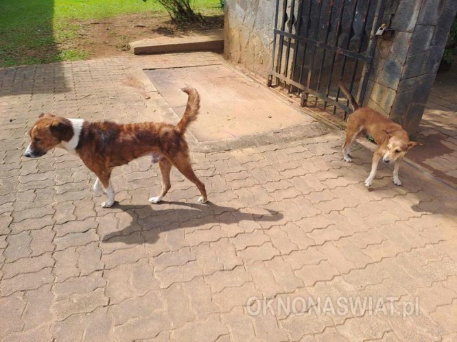 a06efc21d2114c1936a58f0e4dfc8710c1b790b9