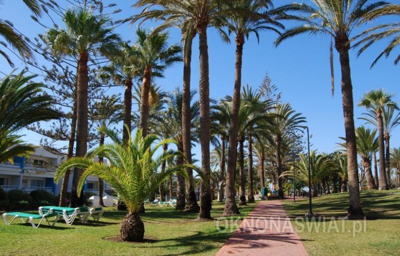 a0ec8e0c5d6f62adcc52a7d383cf1c22b1acc7cf