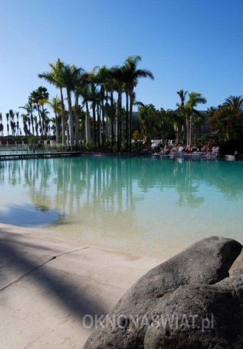 a11dcf8b6a80c40dd87557a6652174ab46b25b25