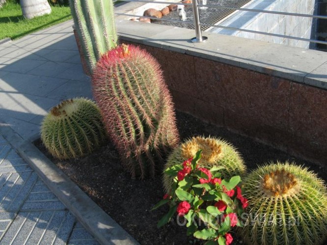 a6d2574db953ac592744e0e6fea25b249ae96d80