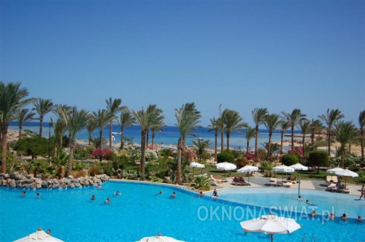 a9dd19ec873d185e541676b6b14b50e73cbb3843