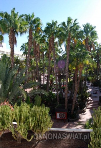 adc702e8aa430693efe08d944453d2efaff6b938