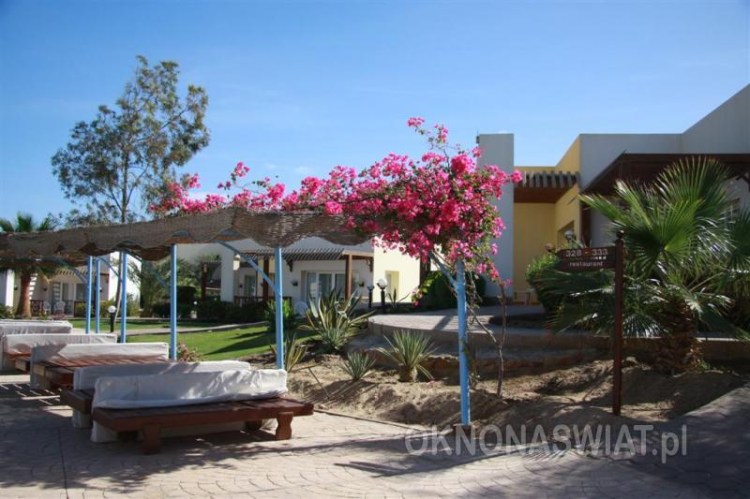 b20b47bd722d01244ae617f441b2a3238f7fde58