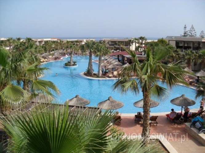 b2355a97989594e216aa73a89f06ad43e5799039