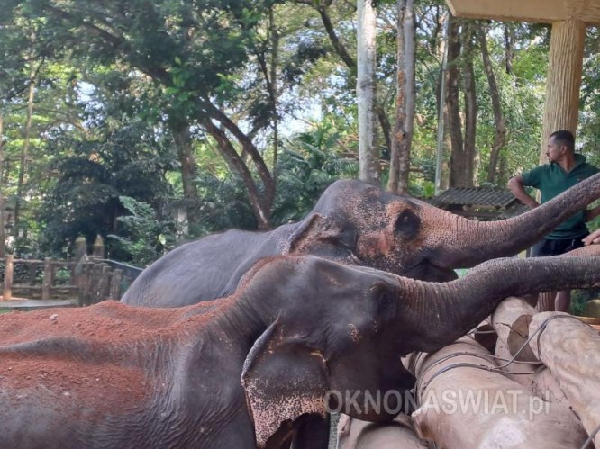 bdc1b1fc333a9c78a19d4cb2dc1503f1202cd222