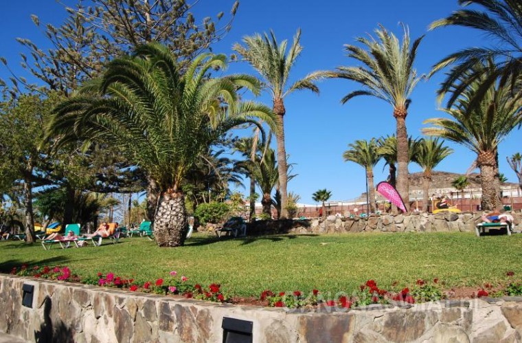 c2b537a25c474e491d4b8a0599a9392e9dc9984b