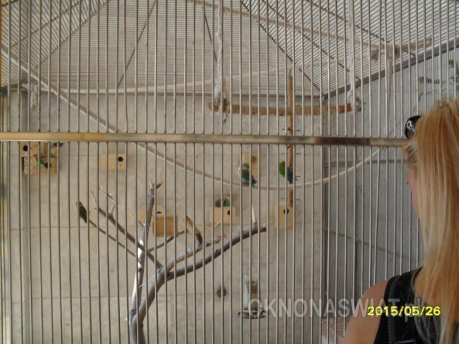 c31129b0a92860fd527be331f00d72a9b4e1e168