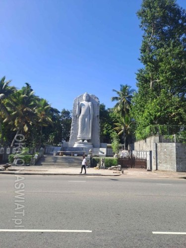 c589931dcaa7ce5f55c0df1d9a7630c1b4881932