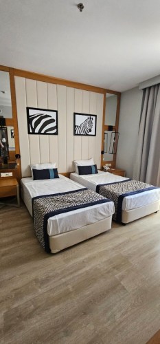 connection-suite-zdj3