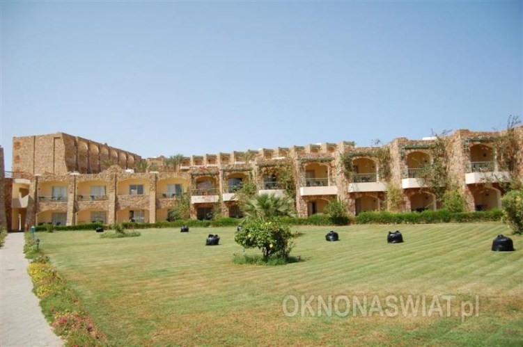 d39af8380e87c115973dcb9344768afb0344b86a