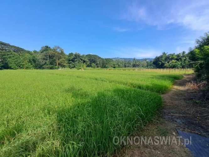 d9643065b2316689746009e19a1c488bae6a9f97