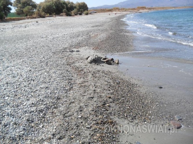 dbd852ccc984c9a161af604fca769612babc5219