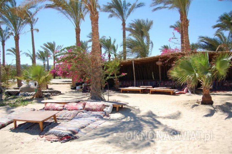 ded47815f5334081c53053030da5cfcd13e68a37