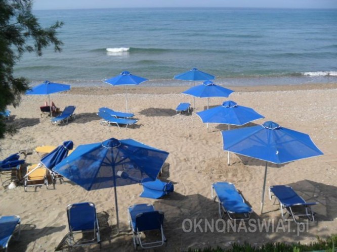 e237f36cca4167b478c8b03d557ed6e80c88fcef