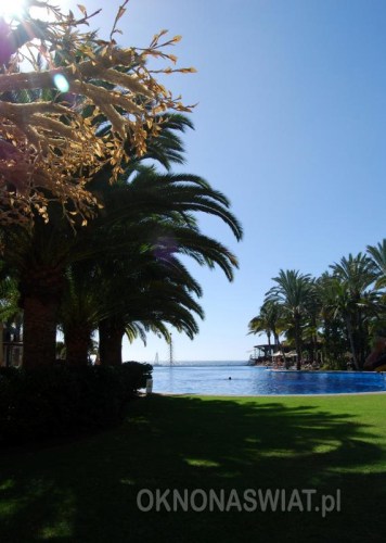 e53df26cca76a1cc625e260a836ce0279e947adf