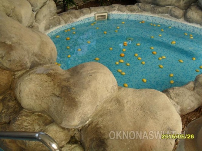 ea90780483ed14e828a755c484a0200118b02ca5