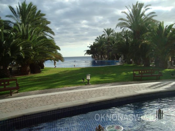 ec66f1a1708659e6c64f87aa8821349aacf0d934