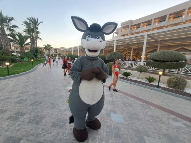 f0847481-4185-4e5a-b777-9dce164c2935