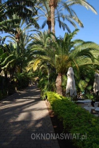 f1de8878c232a080f9164a0cd0507243f9755153