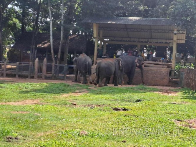 f5192ae4525c08518035ea62b5edf9370f6531cd