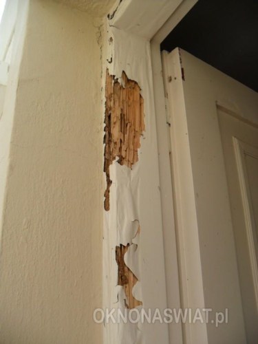 f52fb2c49ddc3e6a908cde13dc8ffbf28e32c39e