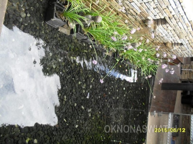 f9c254cf07eb02f2dc80d9bccc56864b2cb9a28f