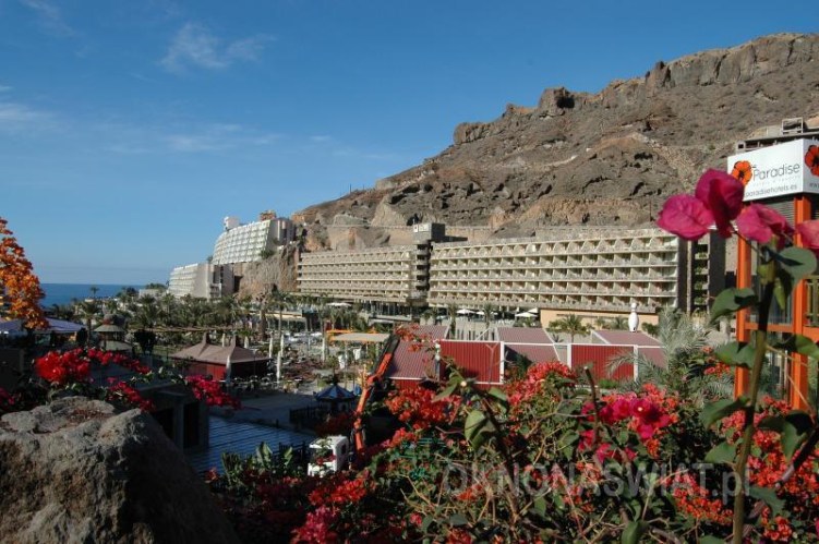 fa85c7d8ecd45d9760104aca45c1cefe298bef58