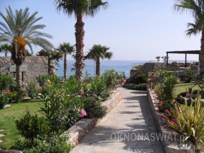 fc06dc147c6d1597799c43cda0dfba519fb1bf91