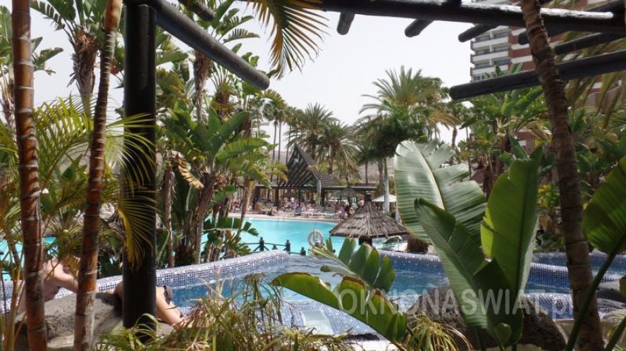 fc3fcf87553f2ae0fec4b22c9eedbbc4ea9ec2d4