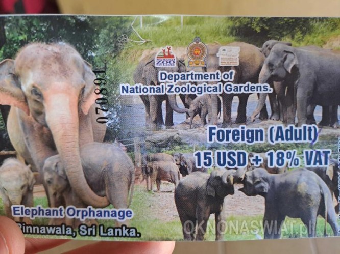 fe14c364940a8a513bc06d0d0fd5d038845e2b30