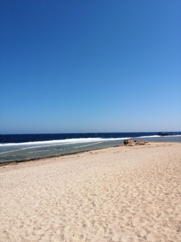 img_20211021_122308-1