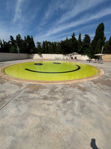 img_8340
