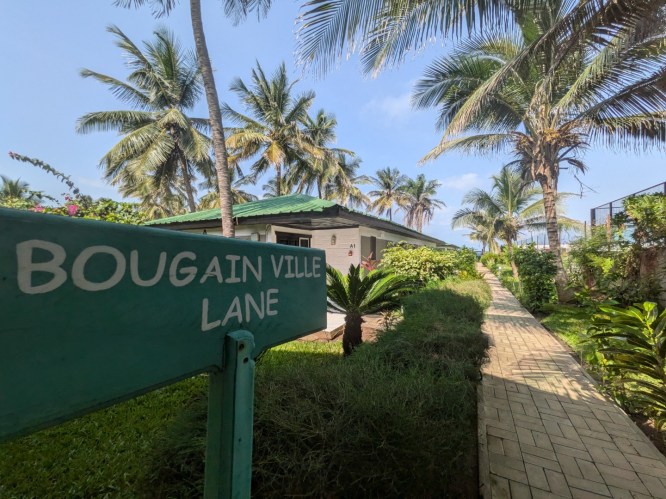 pxl_20251101_112238163