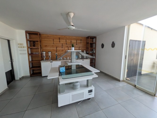 pxl_20251101_113633010