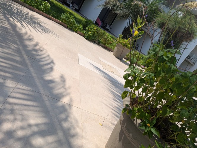 pxl_20251101_122024640