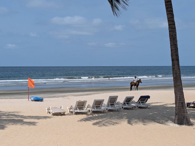 pxl_20251101_124115146