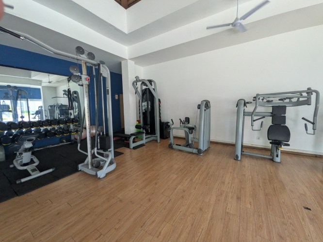 pxl_20251101_144142379