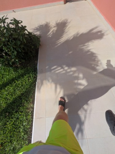 pxl_20251101_152824374