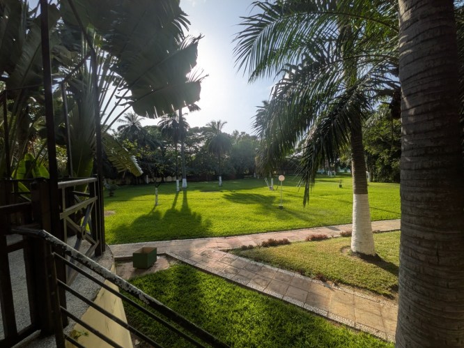 pxl_20251101_164155713