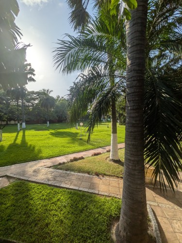 pxl_20251101_164203140_4