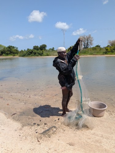 pxl_20251103_130904017