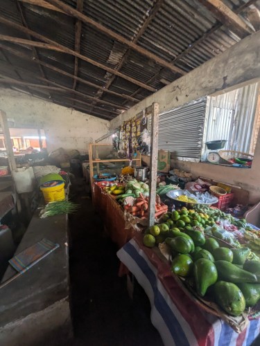 pxl_20251103_133324907