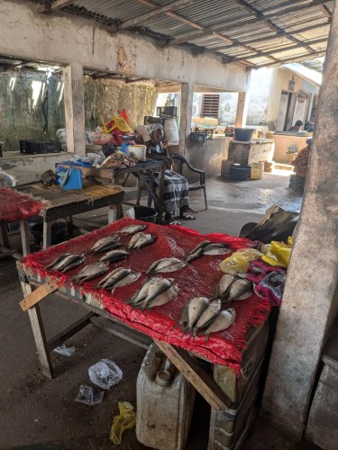 pxl_20251103_133347499