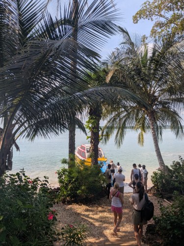 pxl_20251105_101120970