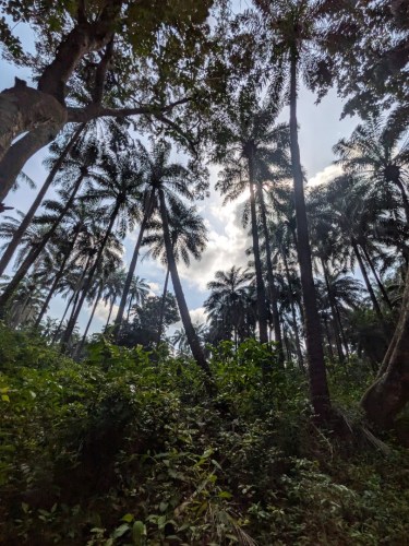 pxl_20251105_104810159