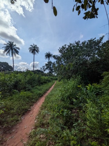 pxl_20251105_105356375