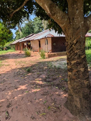 pxl_20251105_105810229.mp