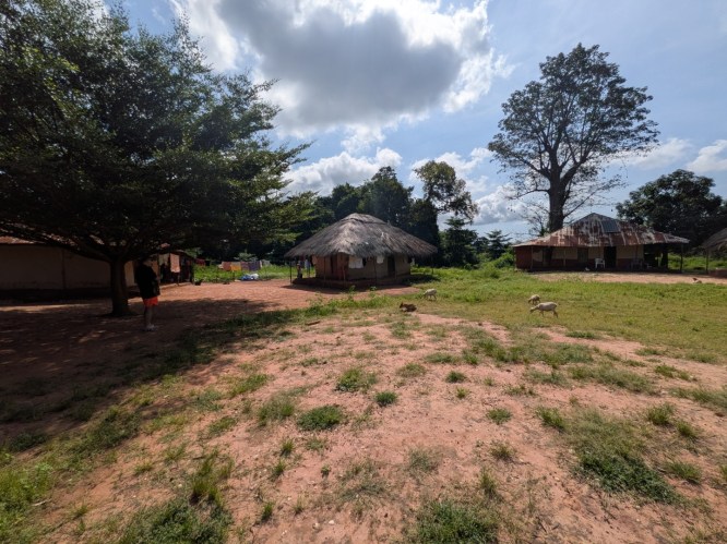 pxl_20251105_110036841