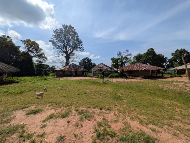 pxl_20251105_110042998