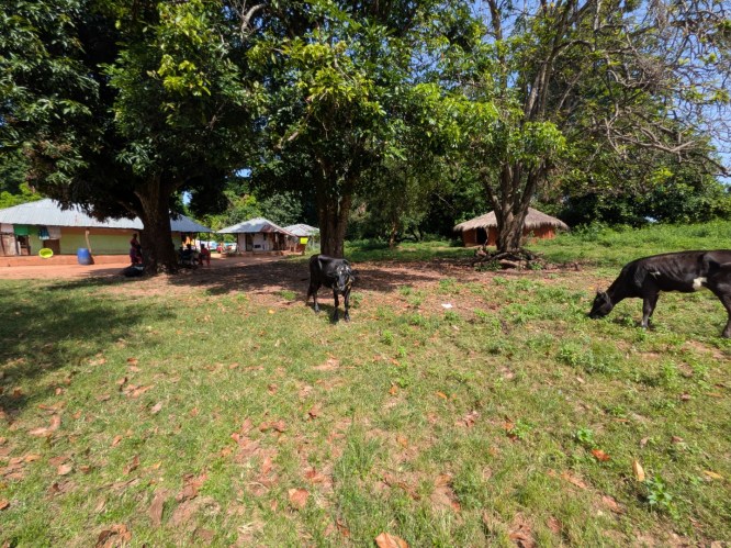 pxl_20251105_110100887